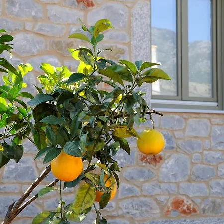 Feriehus Nikoloudi Estate Agios Nikolaos (Mani)